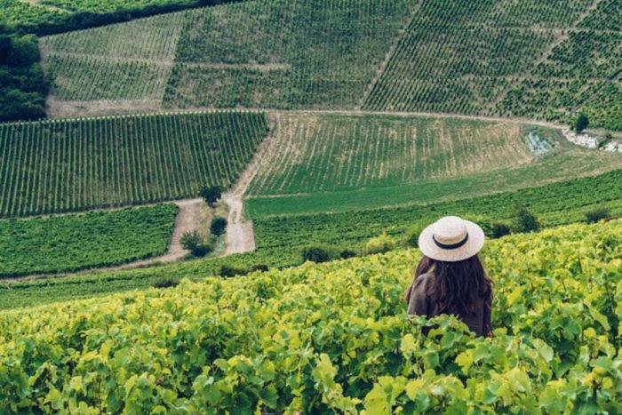 Les Portes De Sancerre Saint-Satur